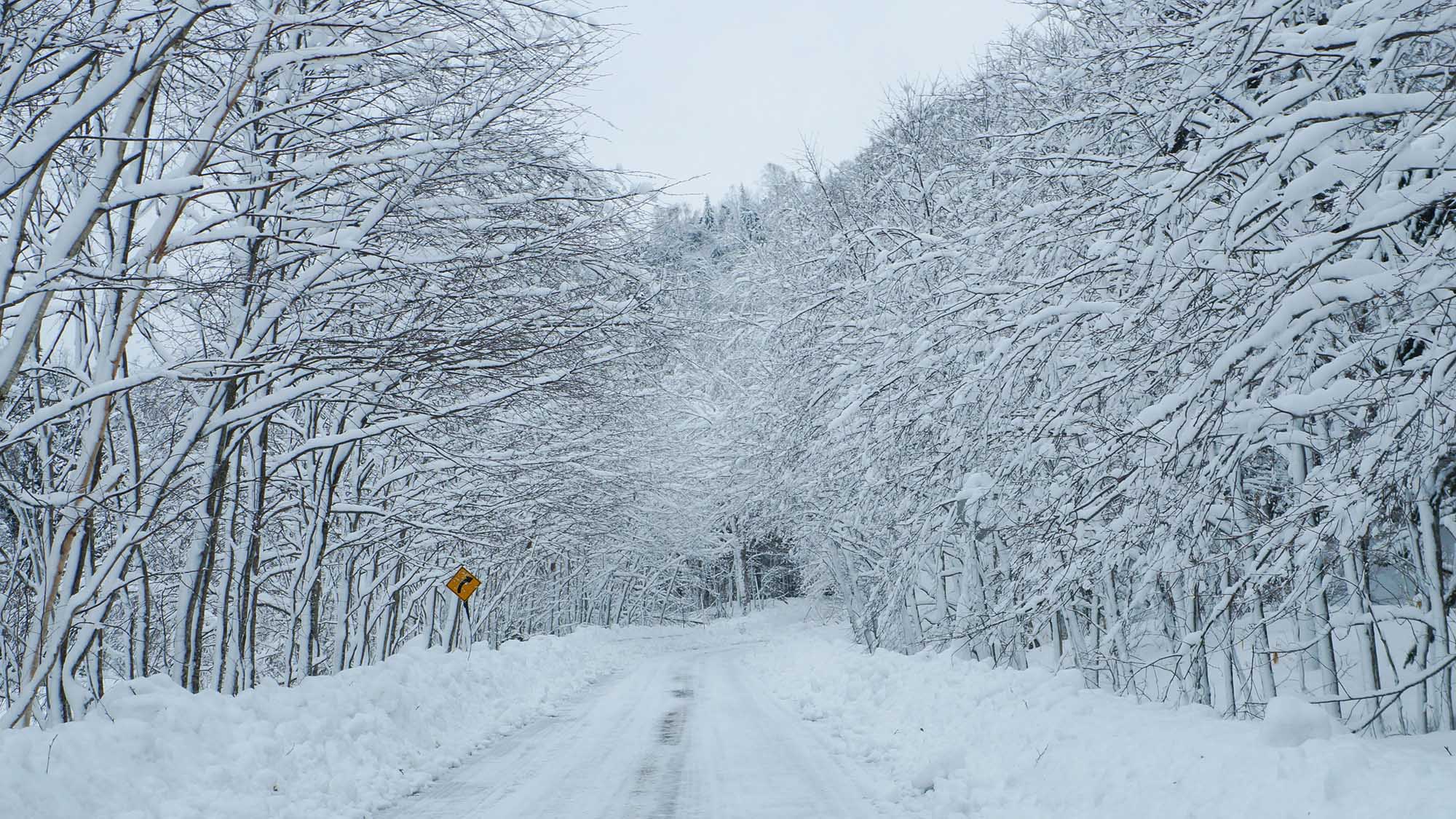 ・【周辺(冬)】然別峡の奥深く大雪山の深山へ