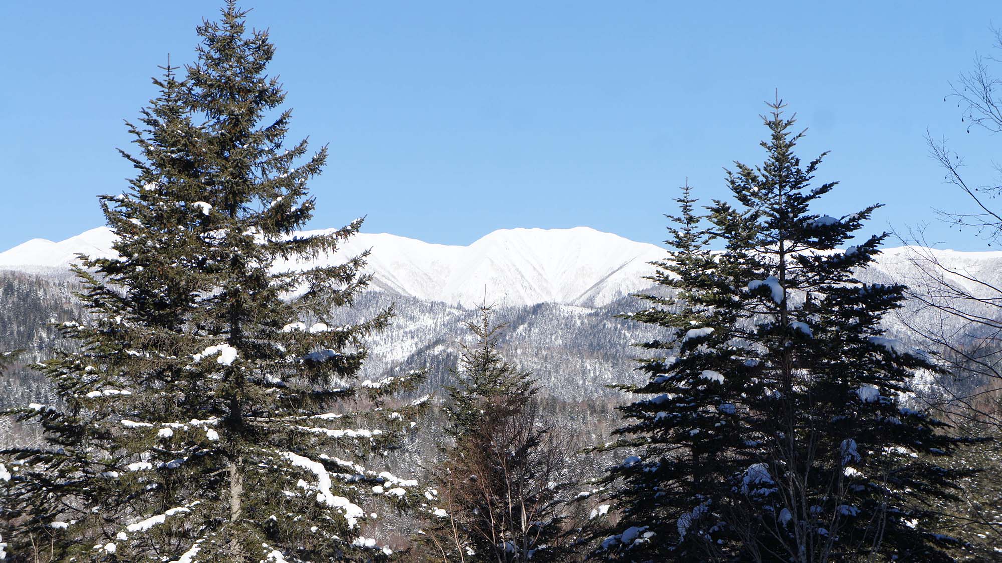 ・【周辺（冬）】雪を頂くウペペサンケ山　これが見えるとすぐ近くです