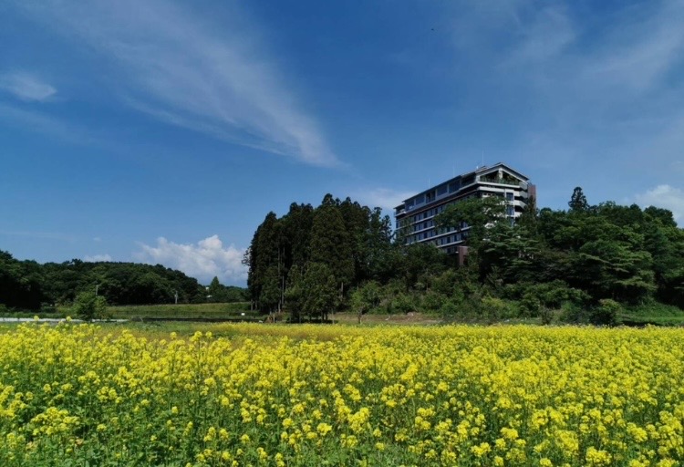 【外観】菜の花も綺麗に咲き誇ります。