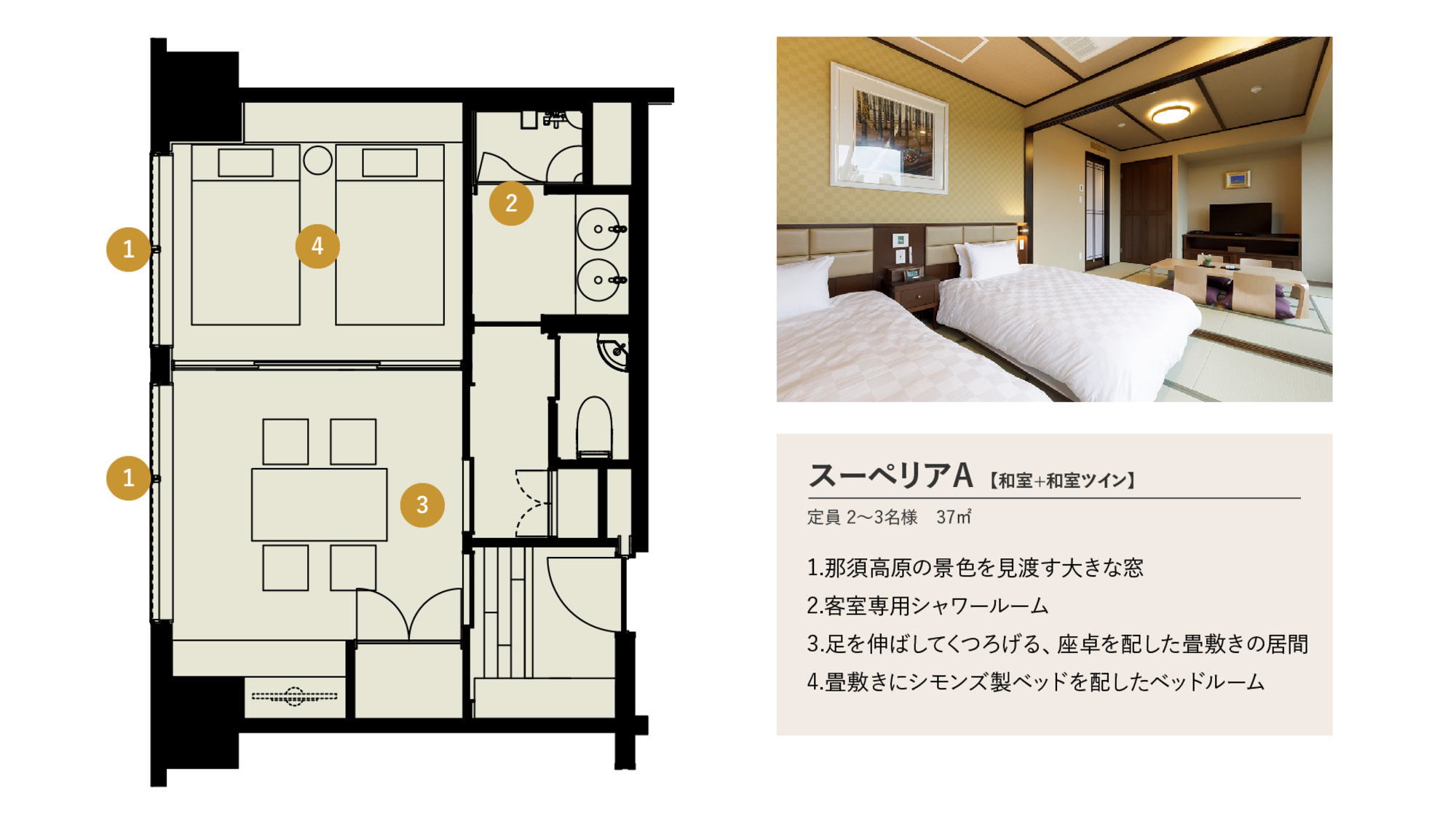スーペリアA【和室+和室ツイン】間取り図