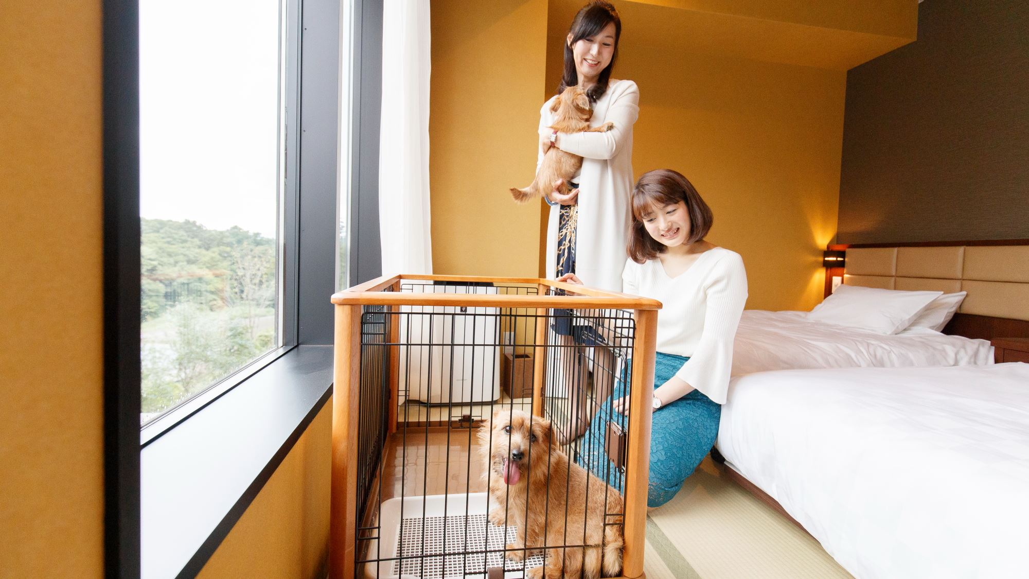  【愛犬同伴専用客室】 小型犬(6㎏以下)で1室あたり2頭まで同伴可能です。