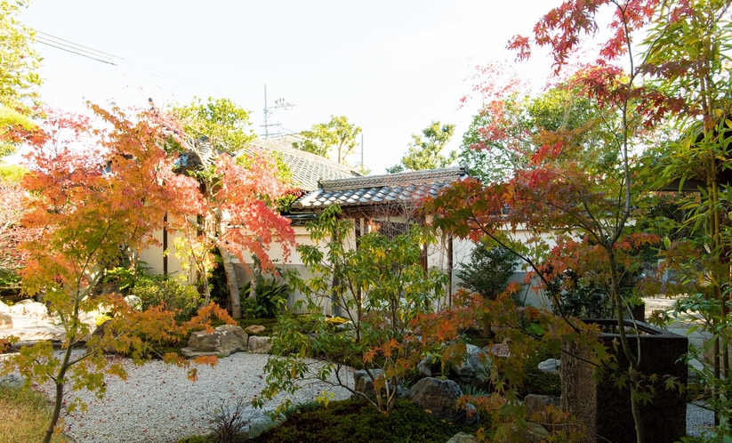 【日本庭園】秋の色づき