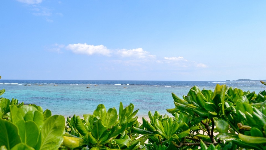 「水平線と朝陽の宿」イメージ　目の前にどこまでも続く静かな海