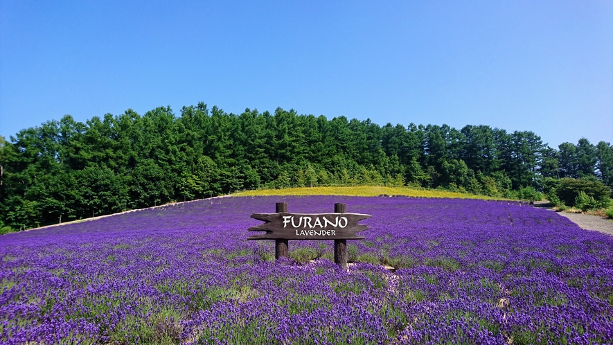 ワイン工場ラベンダー園