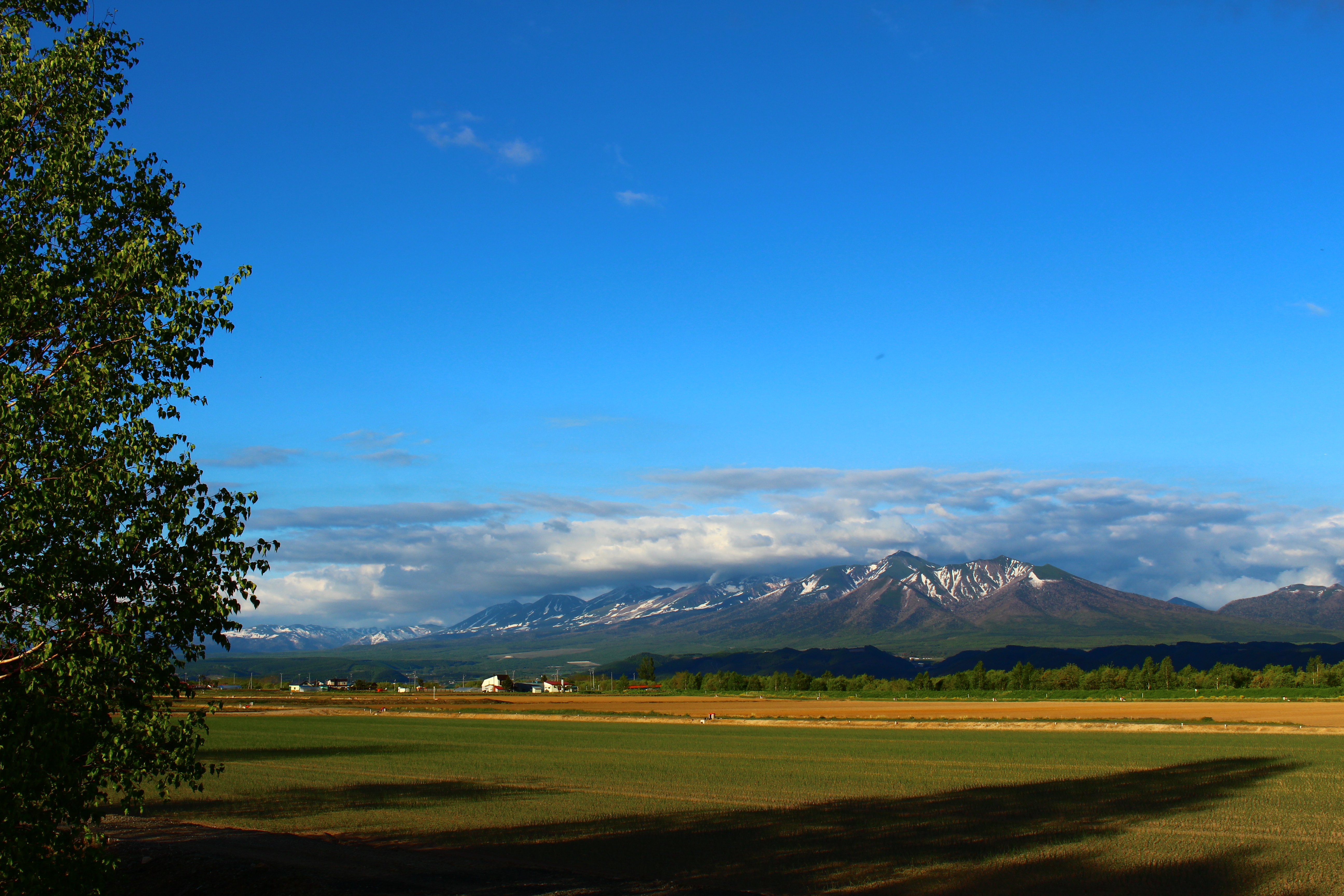 コテージからの景色（春）