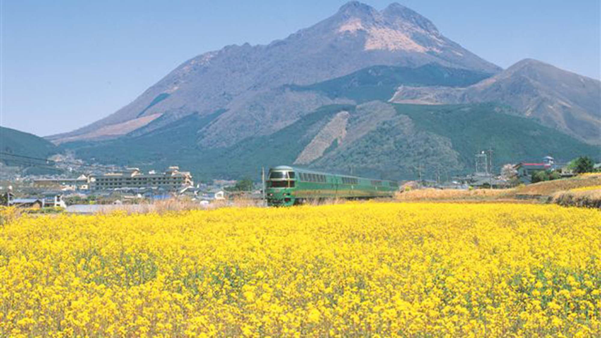 由布岳と菜の花