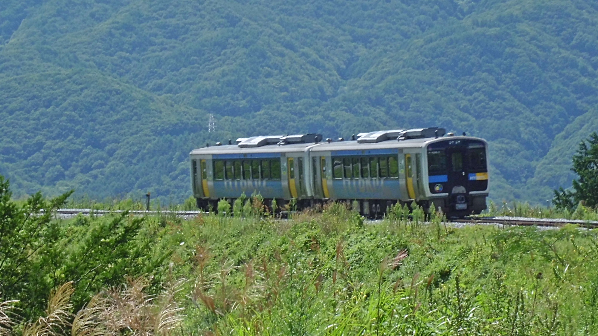 *山の緑と車両の青と黄がよく映える鉄道は、観光の足でもあり、地域住民たちの足でもあります。