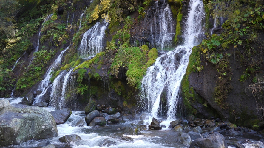 *吐竜の滝（車約8分）吐竜（どりゅう）の滝は日本庭園のような趣があり、小さい滝が何段も落ちています