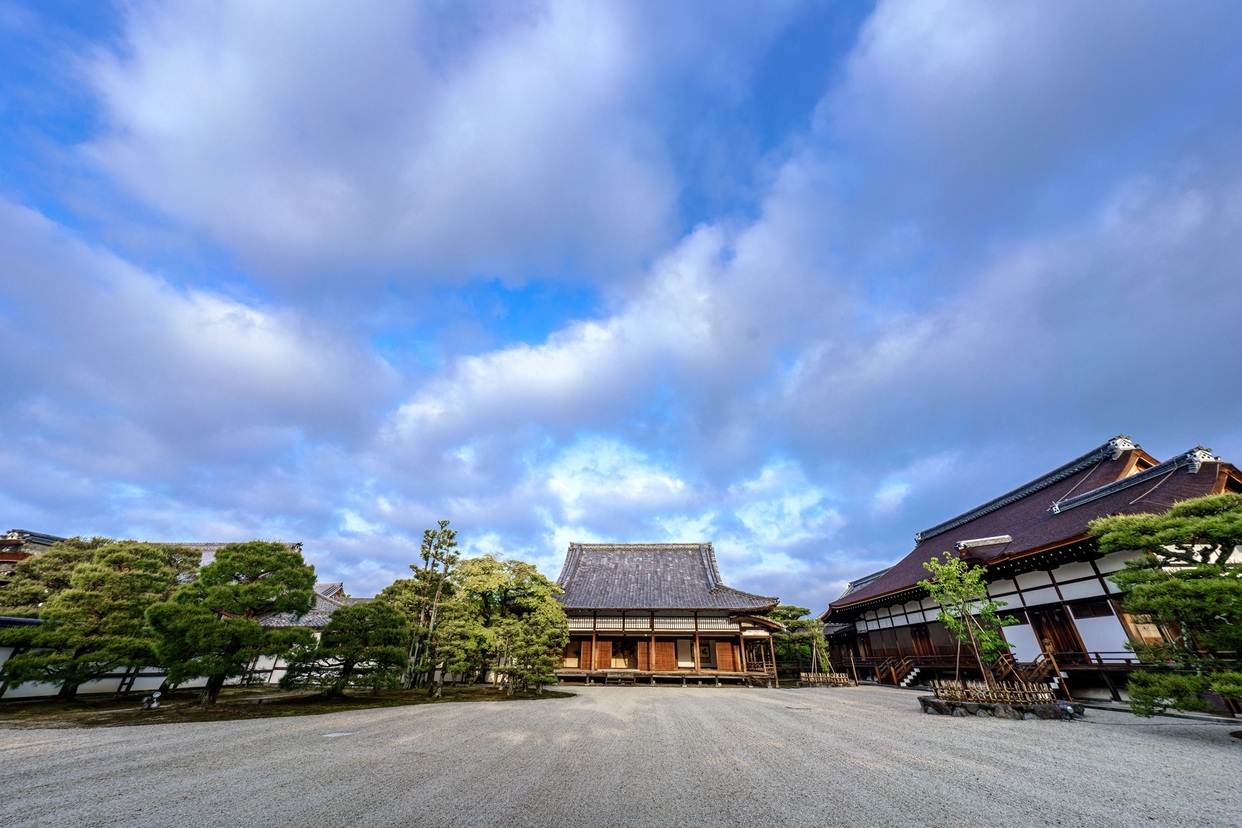 【京の夏の旅】文化財特別公開スペシャルセットで豊臣家ゆかりの地を巡る旅＜朝食付き＞