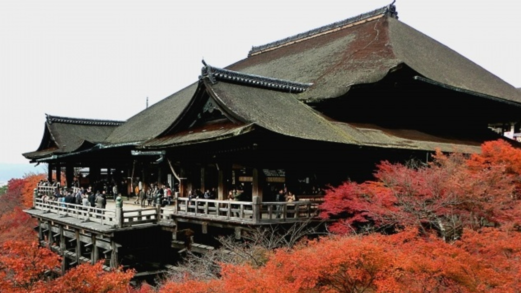 清水寺の紅葉は例年11月下旬～12月上旬が見頃