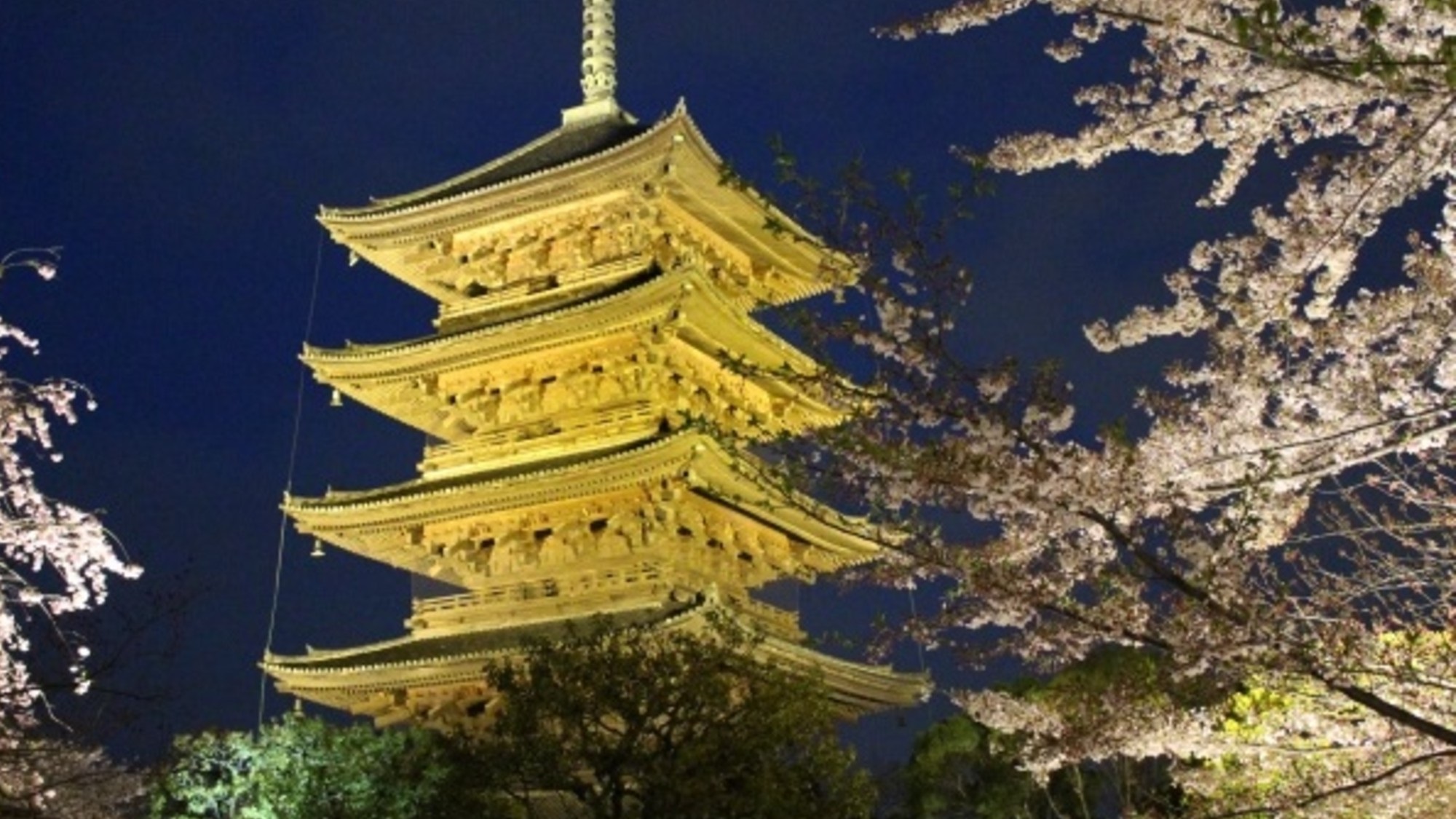 【東寺】京都駅より約1駅。五重塔と桜の幻想的な空間をお楽しみいただけます