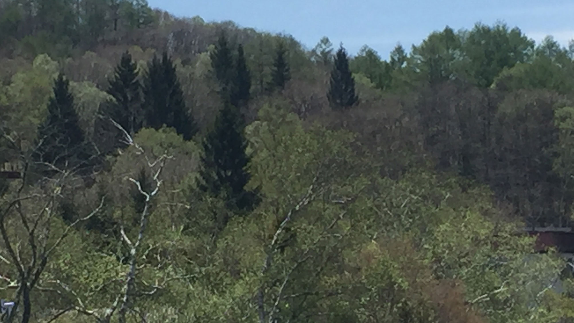 【211号室】トリプルルームマウンテンビュー