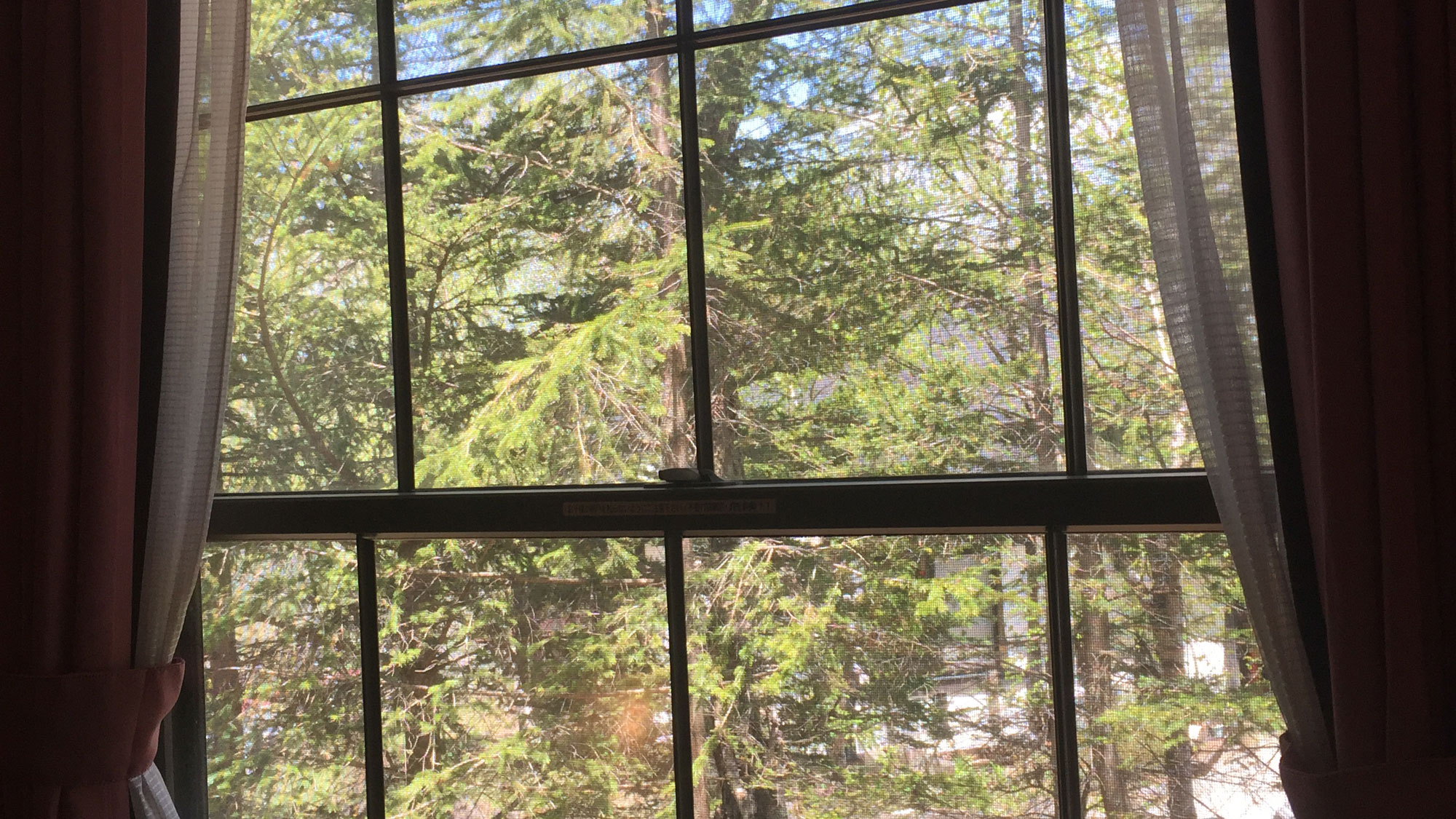 【207号室】トリプルルームガーデンビュー