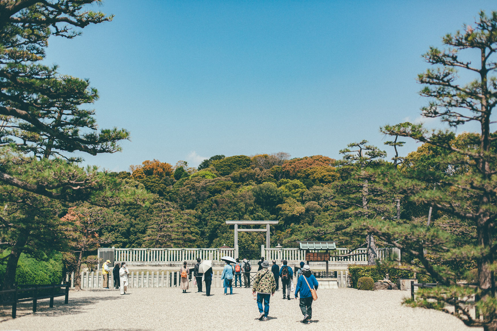 世界遺産の古墳の歴史を堪能できる、大仙公園！車で約10分☆