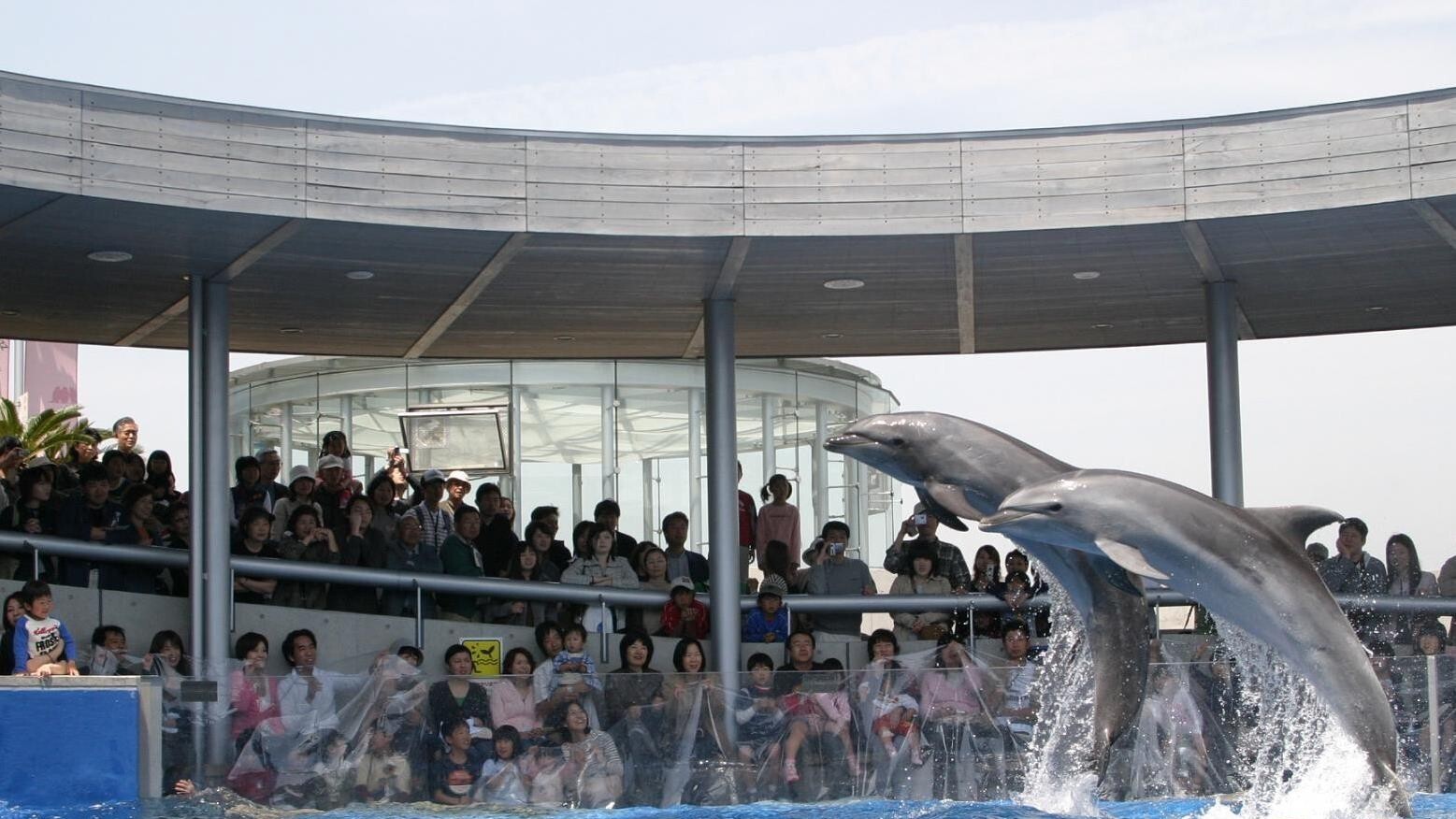 大分マリーンパレス水族館「うみたまご」 ショー