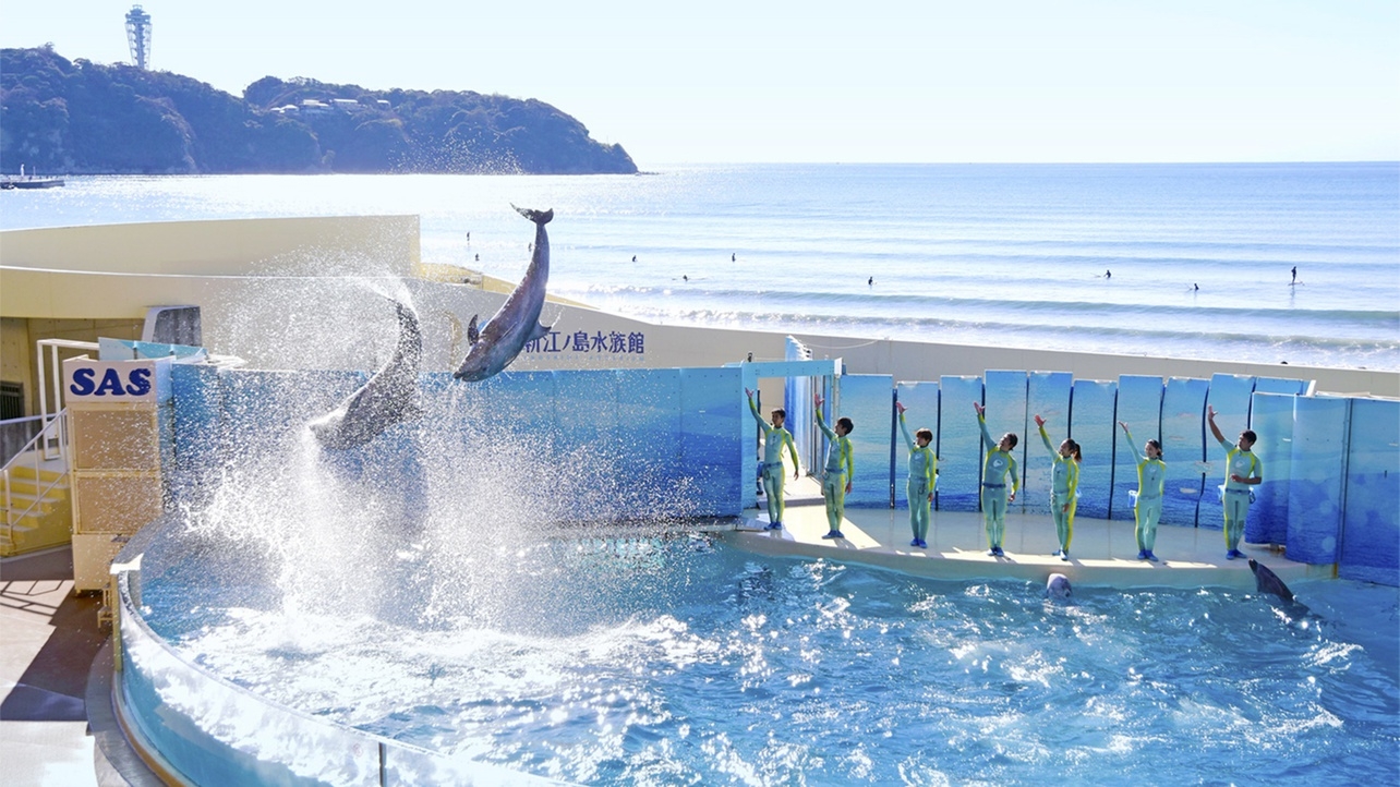 湘南・江の島の人気スポット！新江ノ島水族館入場券＆朝食付きステイ
