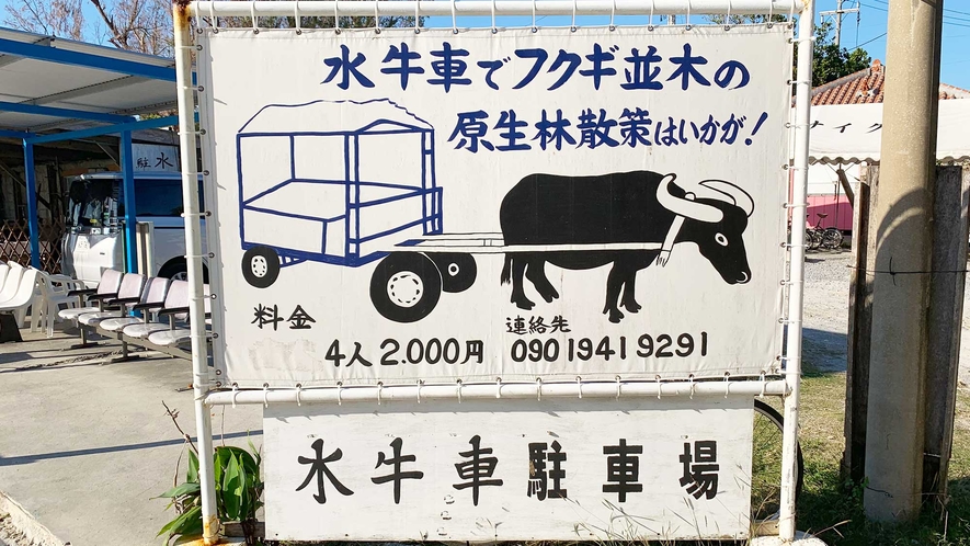 【周辺】水牛車