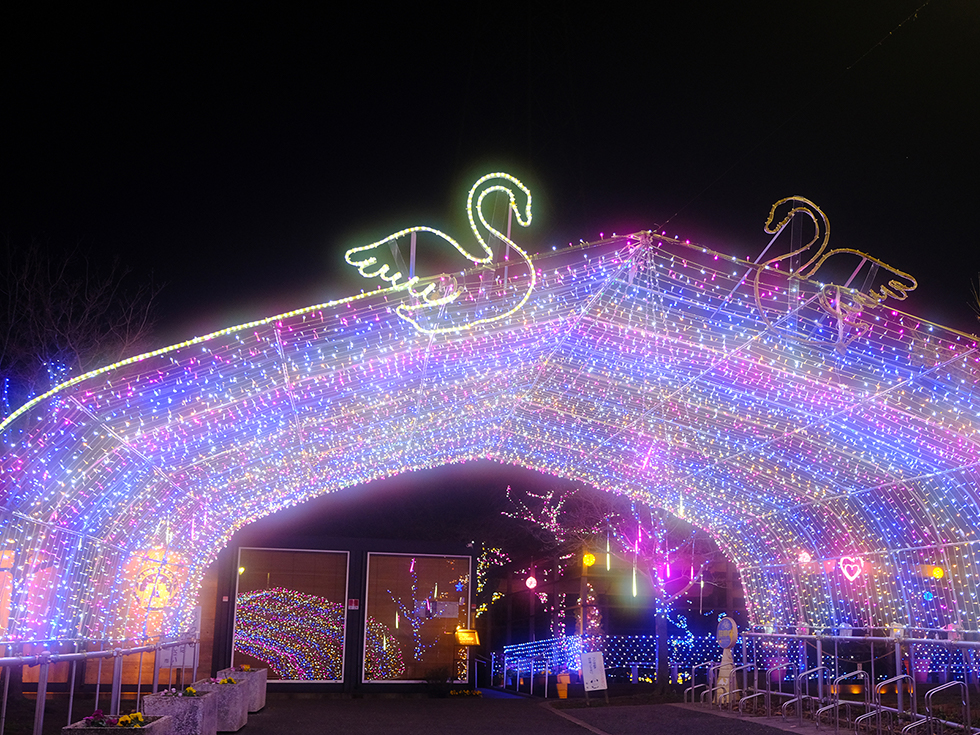 イルミネーション