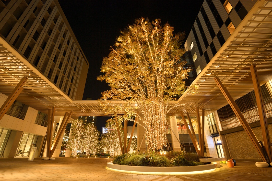 イルミネーション