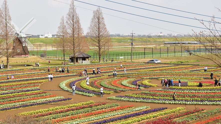 あけぼの山農業公園