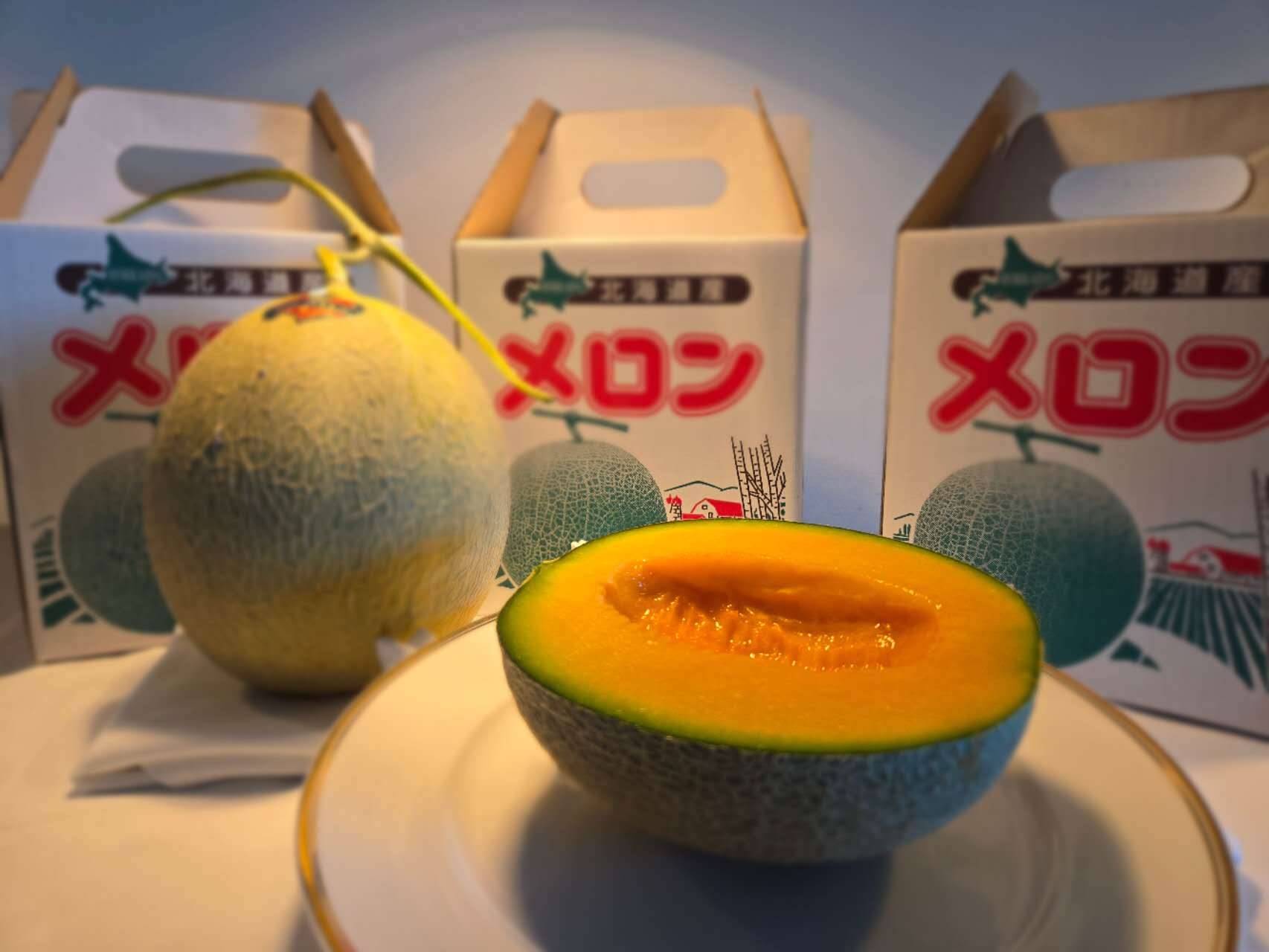 【二食付】期間限定！季節の北海道産メロン付き【お土産プラン】