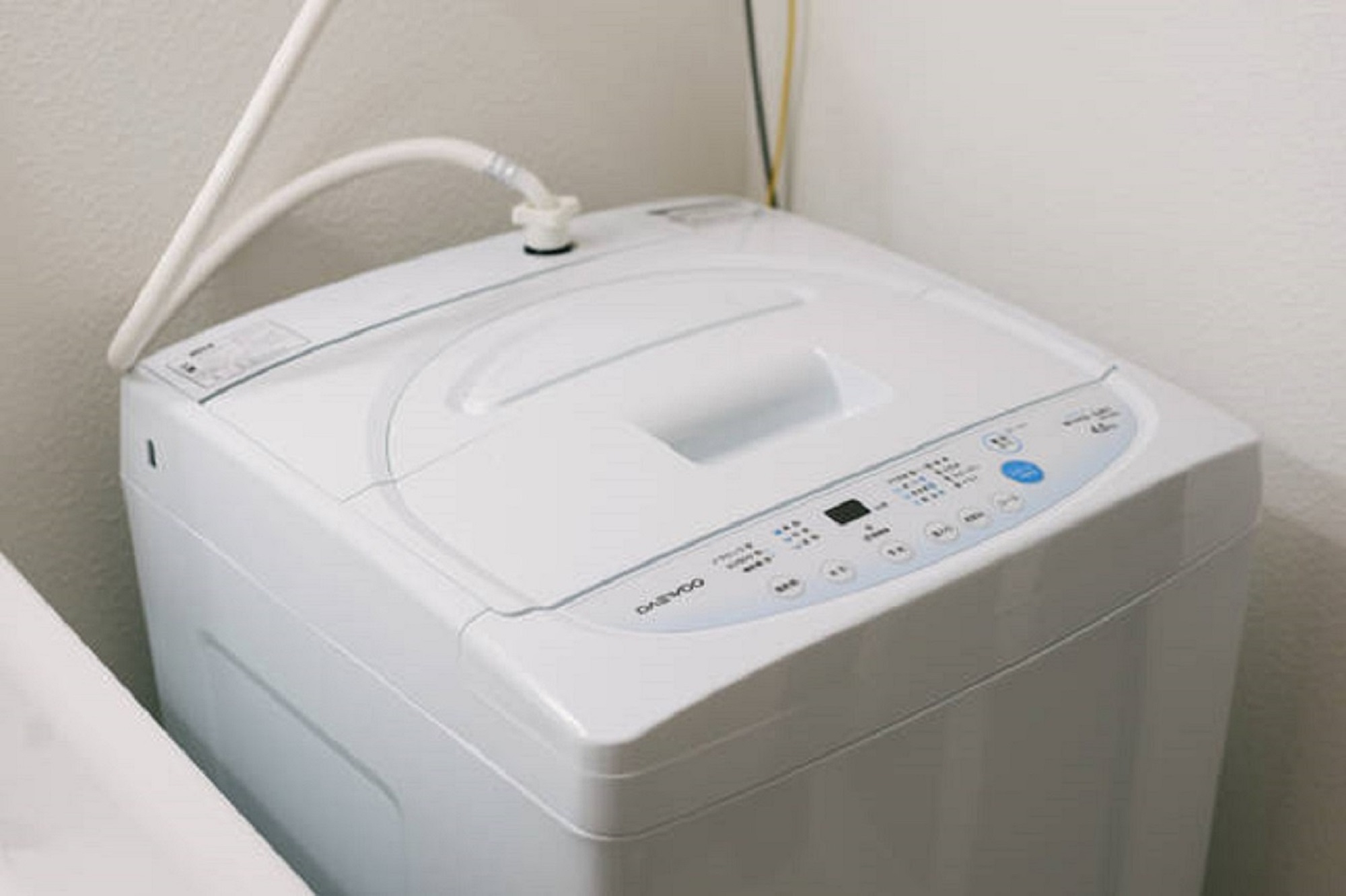 1LDKタイプ　リビングと寝室は別室　広々37㎡　カップル、グループ、ファミリーの方へおすすめ