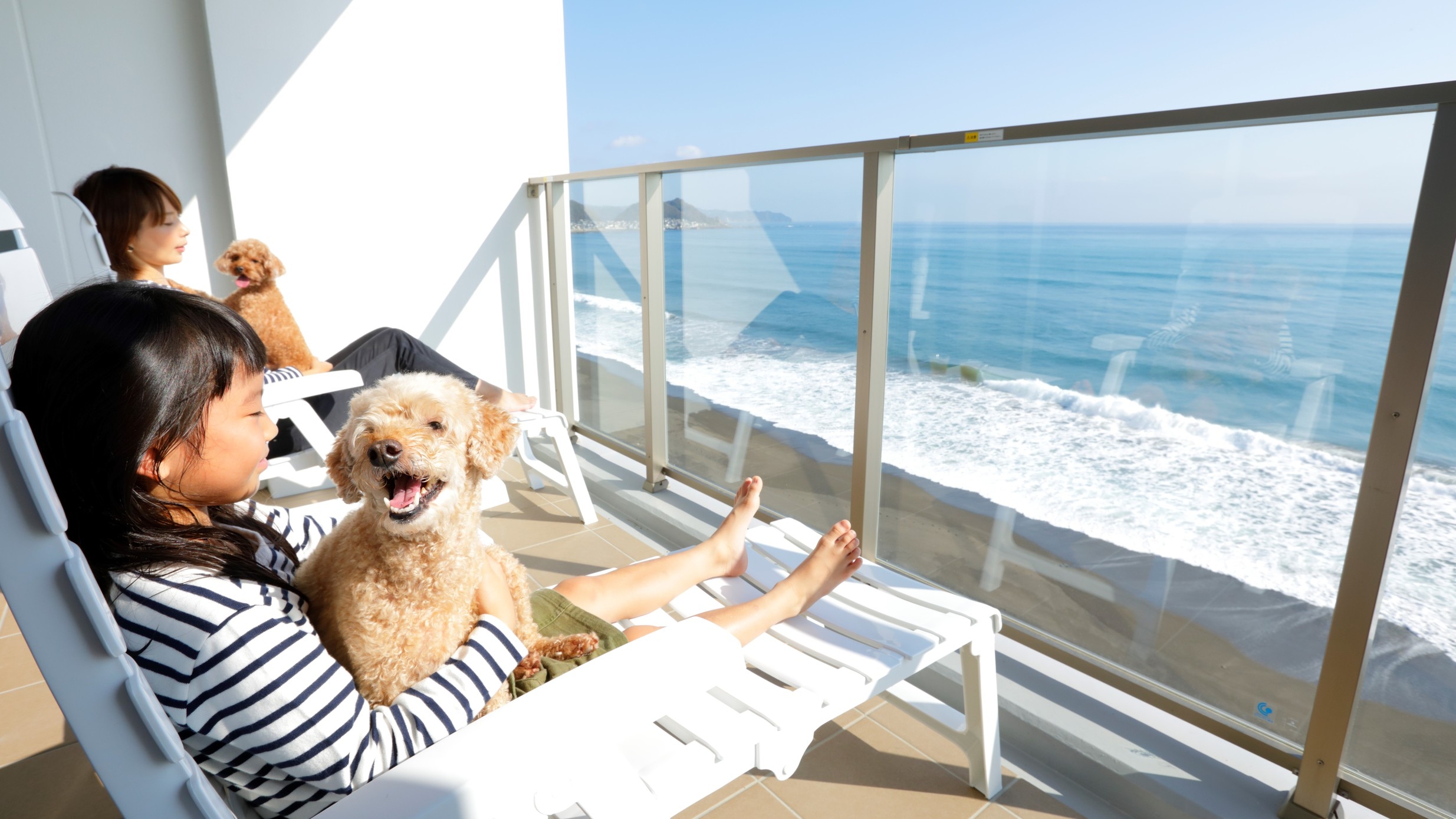 【さき楽45プラン◆1泊2食付】愛犬と過ごすビーチリゾート！2食付！