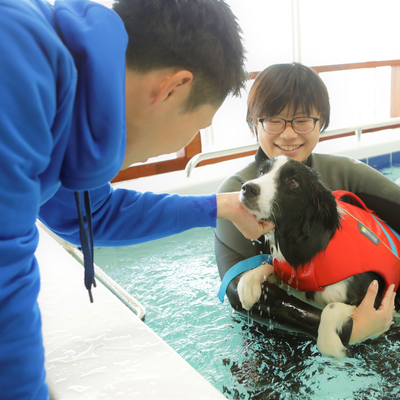 【2024年4月1日〜8月31日】〜素泊まりプラン〜愛犬とゆっくり過ごすビーチリゾート/食事なし