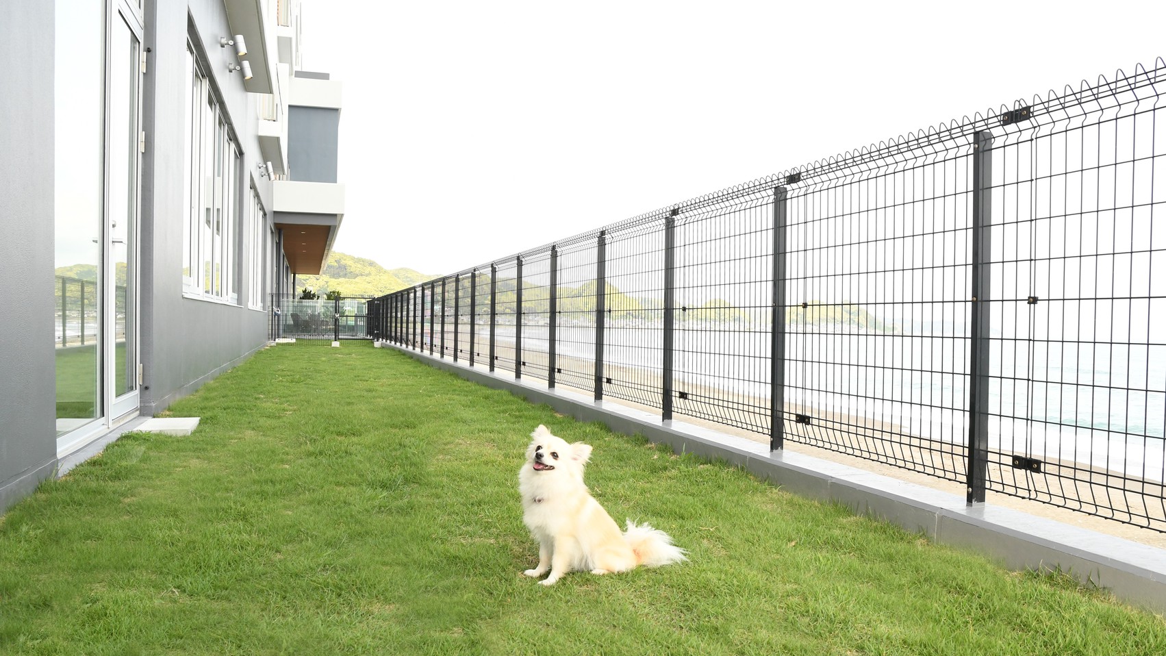 【楽天月末セール】夕飯は愛犬と楽しめる海の見えるレストランで。-1泊2食付き-