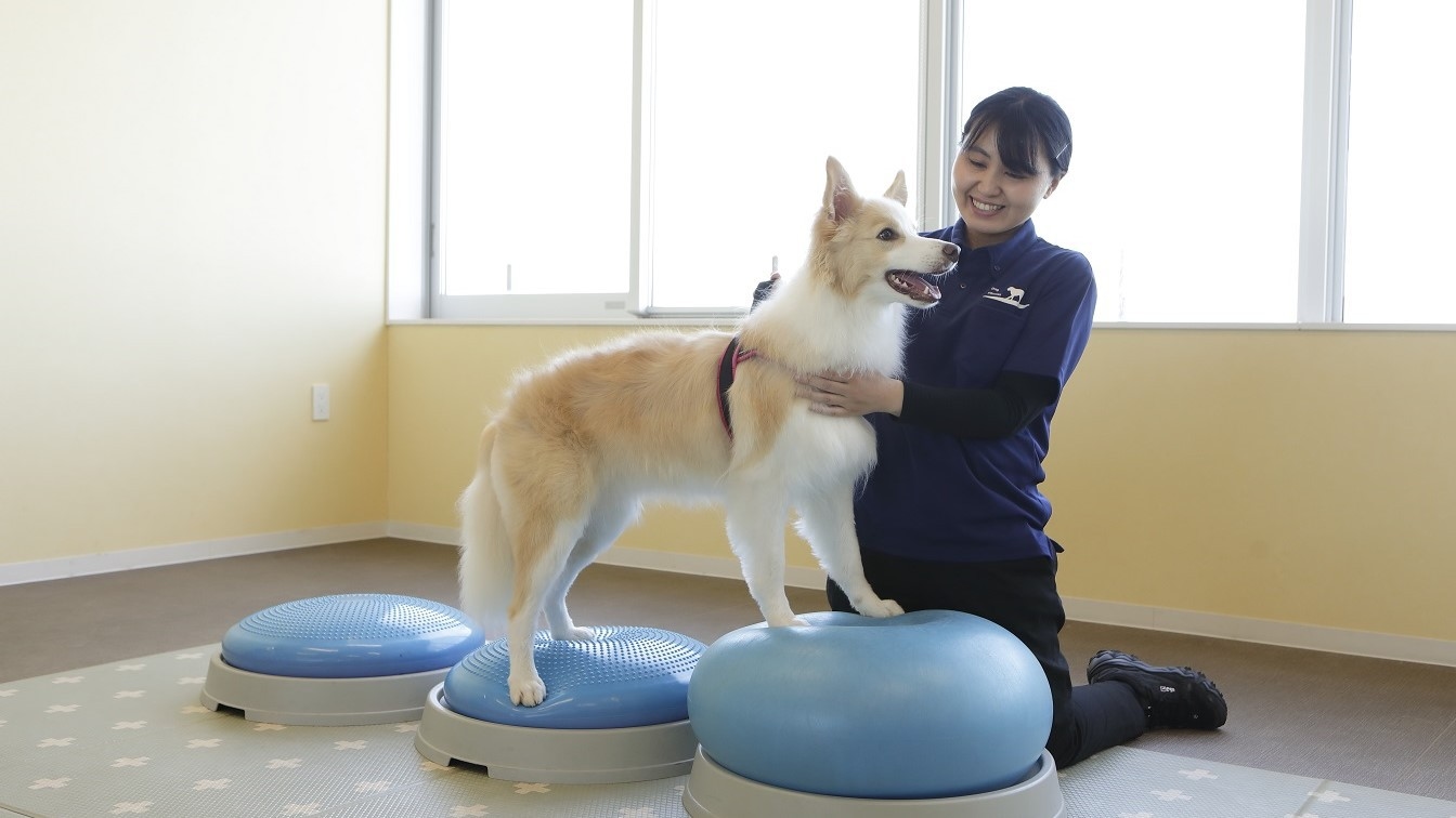 【楽天月末セール】夕飯は愛犬と楽しめる海の見えるレストランで。-1泊2食付き-