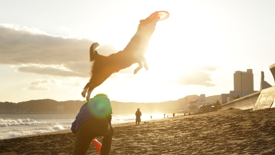 【ホテル前の海辺】夕暮れの涼しい時間帯はフリスビーでたくさん汗をかいて