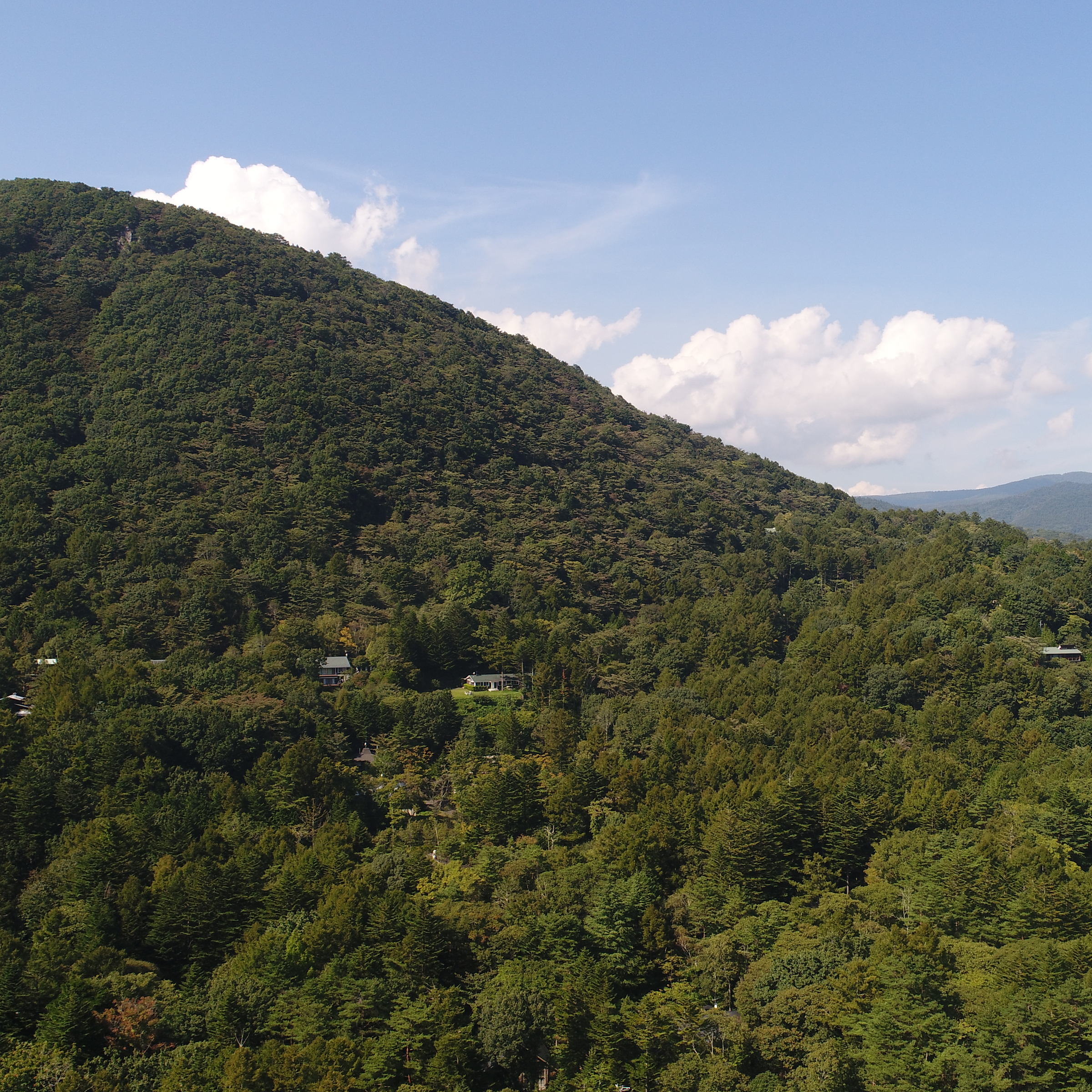 【周辺の様子】山に囲まれた静かな土地です