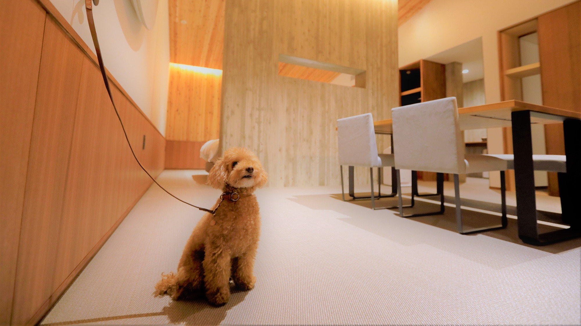 【フォレストテラススイート（85平米/バス・トイレ付）】テラス／ビューバス／サータ社製ベッド