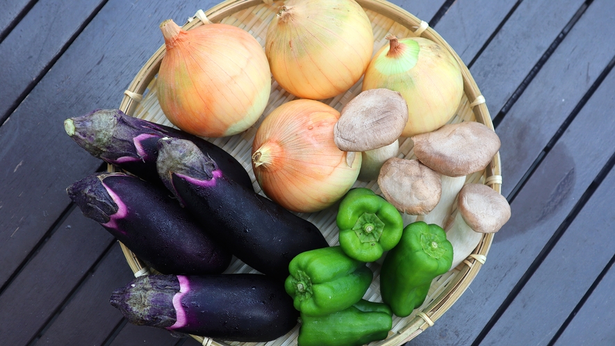 【食材へのこだわり】東松島で獲れた食材はもちろん、自家農園の新鮮なお野菜も♪