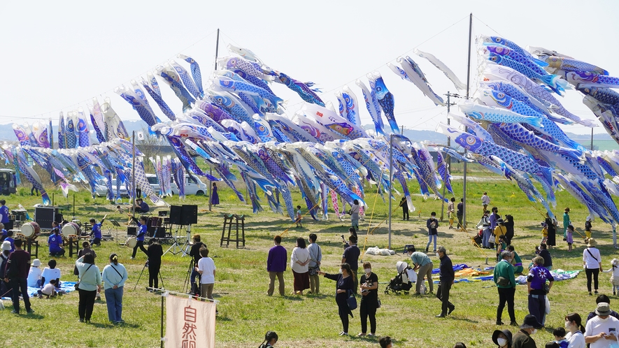 KIBOTCHA 写真・動画