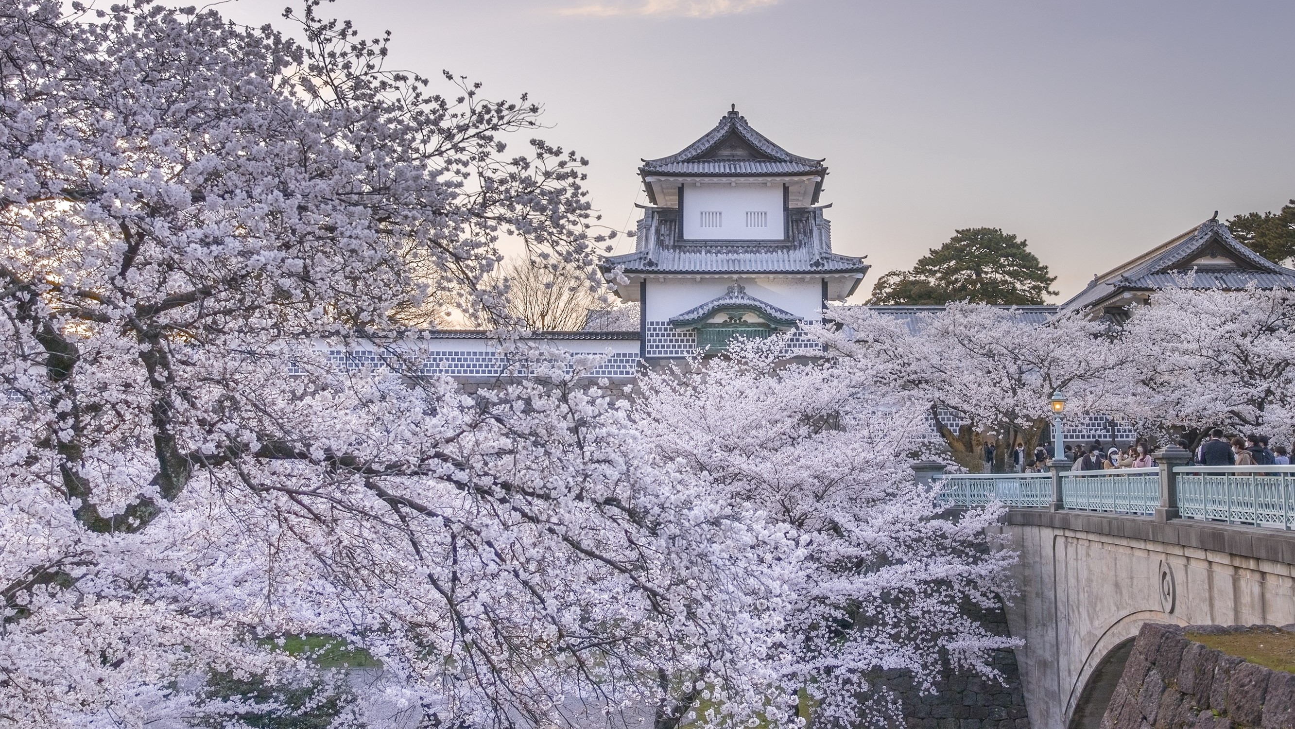 春の金沢 ～ 金沢城公園に咲く桜 ～　※イメージ