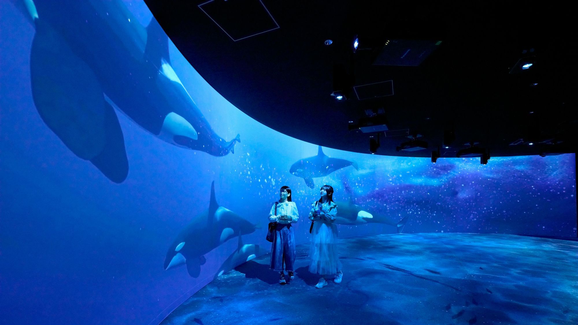 【ペンギンが目の前に】水族館「AOAO SAPPORO」一日入場引換券付プラン【2名以上】（素泊）