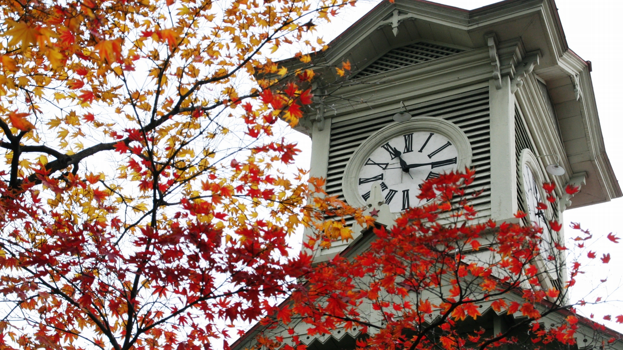 ◆周辺観光｜札幌市時計台（徒歩で約7分）