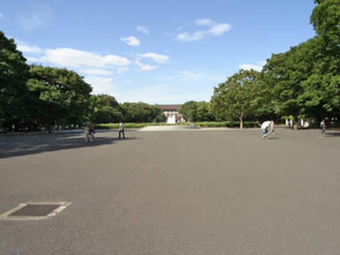 上野公園（国立博物館前）- Ueno park