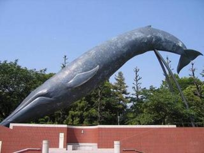 国立科学博物館のシロナガスクジラ - (blue whale sculpture) 