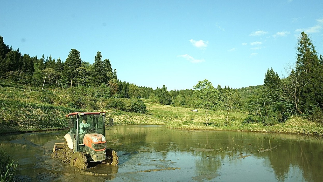 1泊朝食”松之山・天水田のコシヒカリ”を味わう里山朝食【2026年1月22日〜】