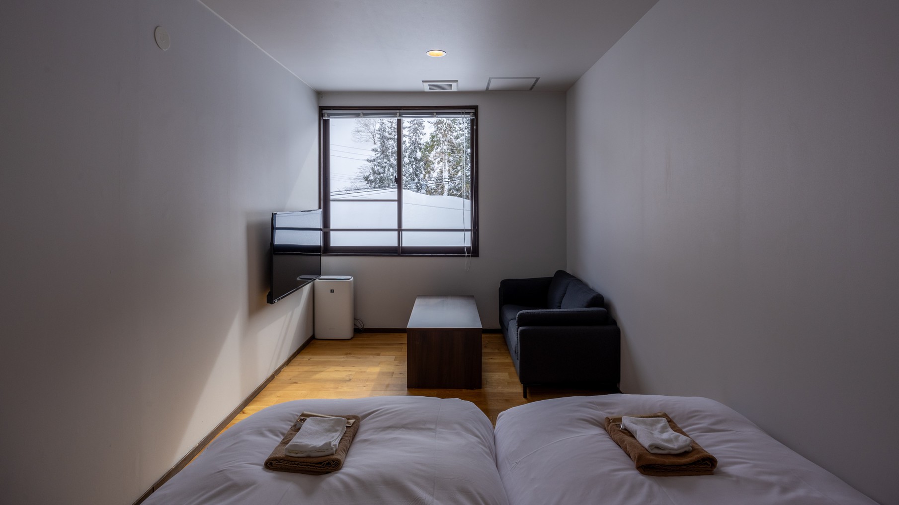 【RoomB】Economyハリウッドツイン