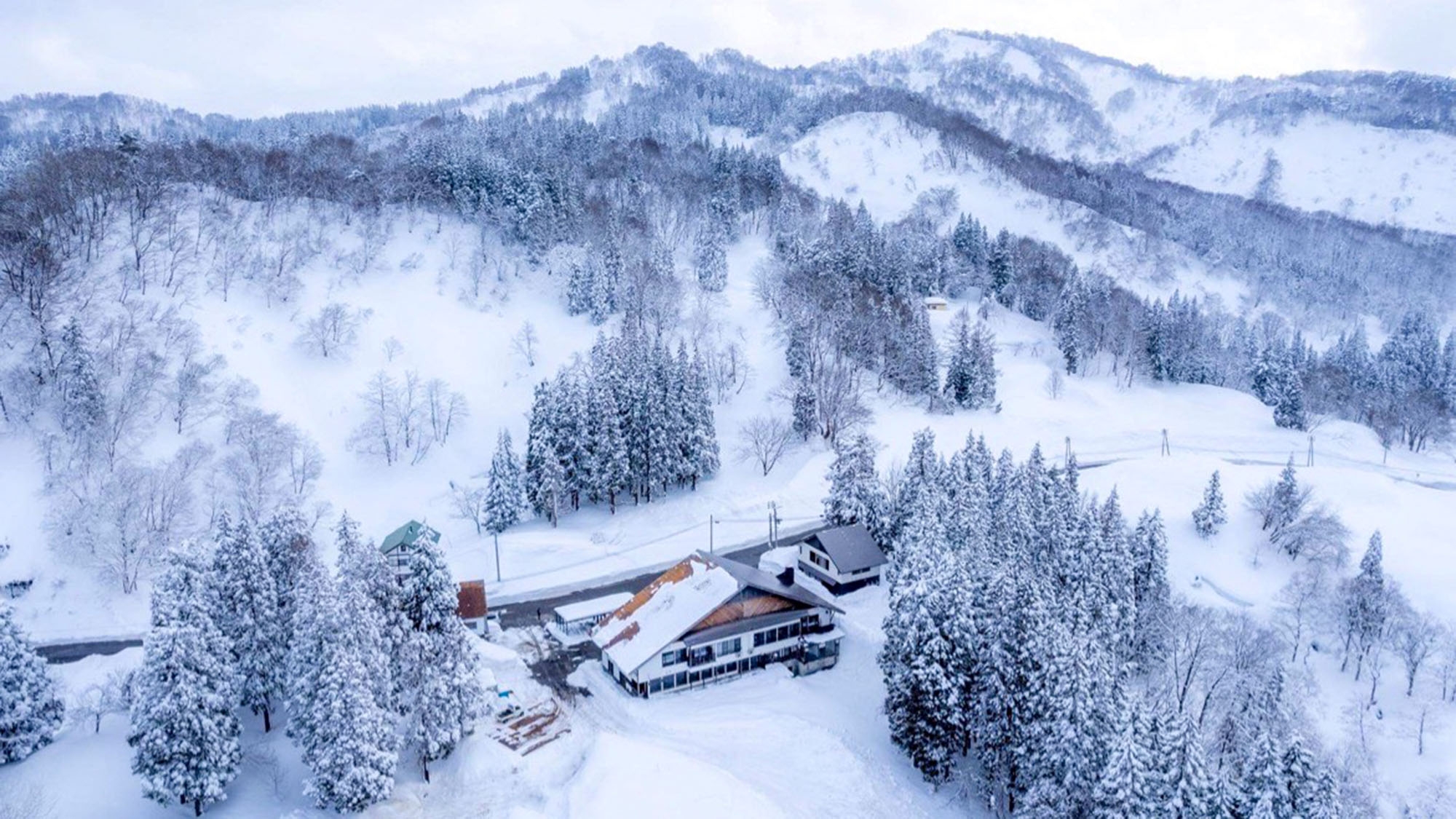 松之山温泉　Ａｕｂｅｒｇｅ醸す森［ｋａｍｏｓｕ　ｍｏｒｉ］