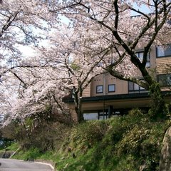 ◆高台にある当館「萩高山」と桜