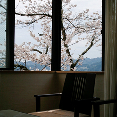 【別館　角部屋】満開の桜を見ながら、お食事…夜桜も楽しめる！