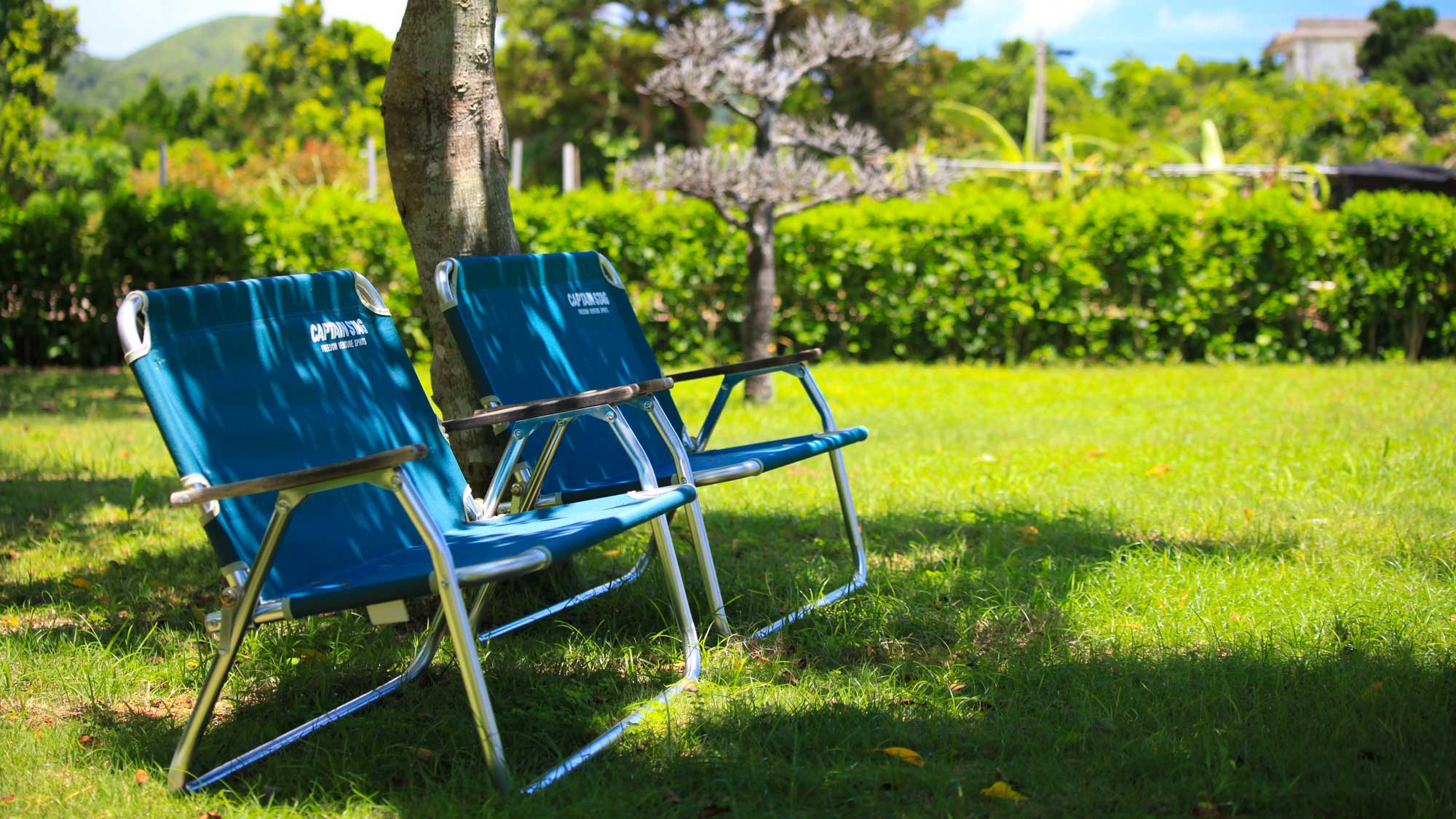 【ガーデン】語らいも弾みます