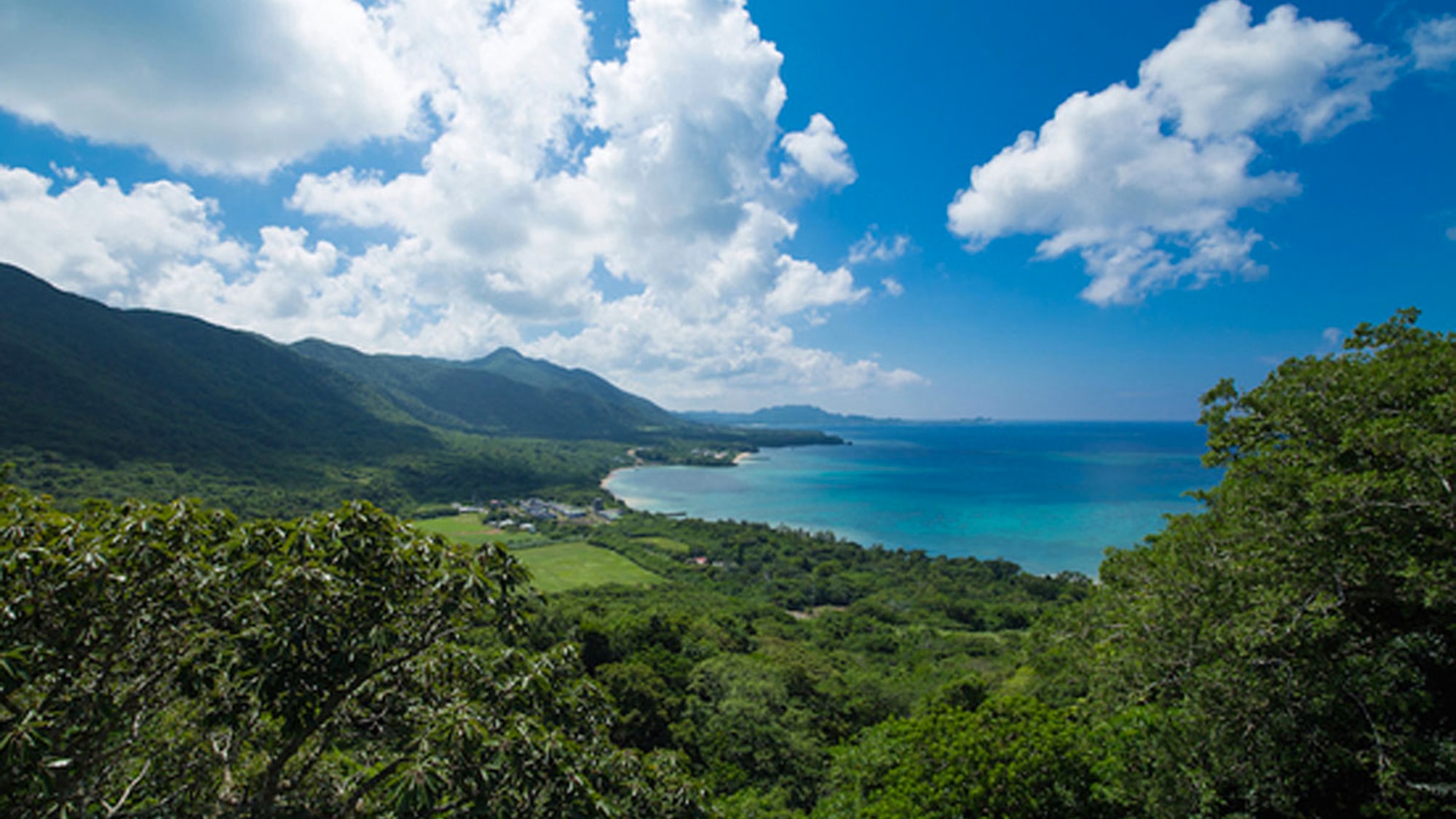 【周辺】浦底湾の眺め