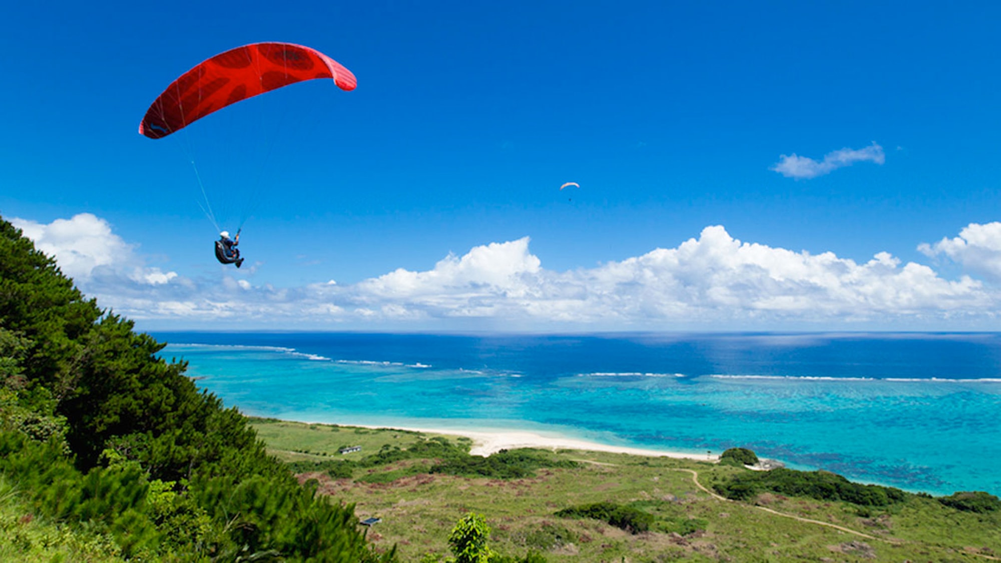 【周辺】潮風を含んだ山肌の上昇気流に乗って海原めがけてテイクオフ！