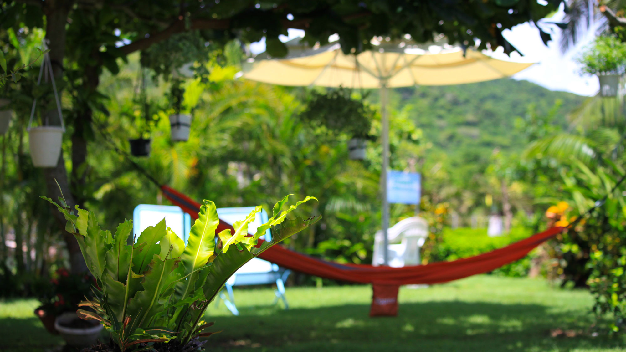 【ガーデン】木陰のハンモック