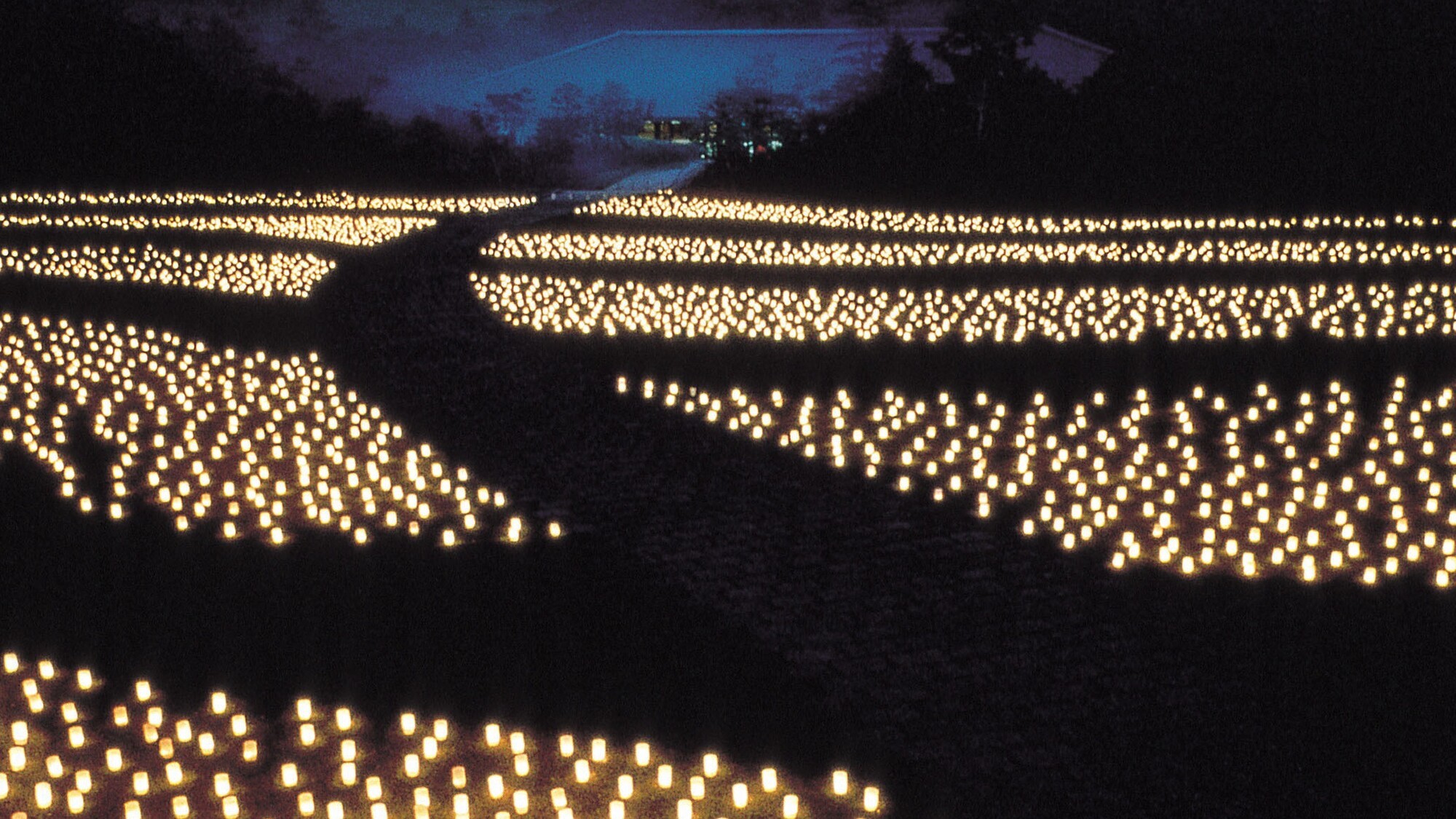 なら燈花会　ろうそく